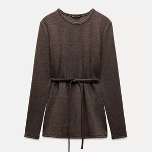 Zara Brown Pencil Skirt and top